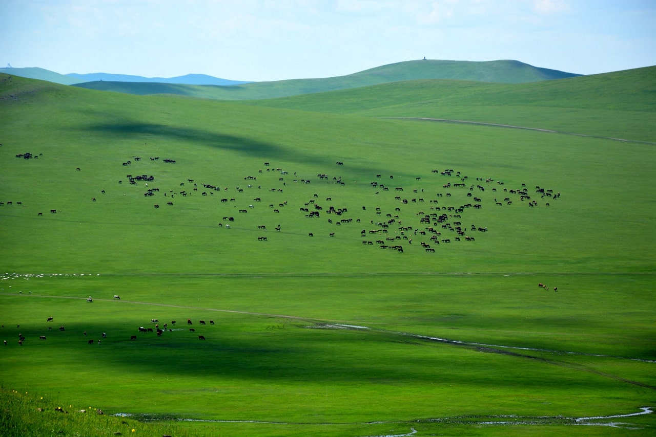 呼倫貝爾5日游線路旅游攻略