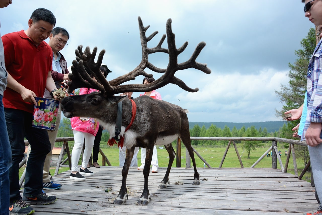 得耳布爾神鹿園