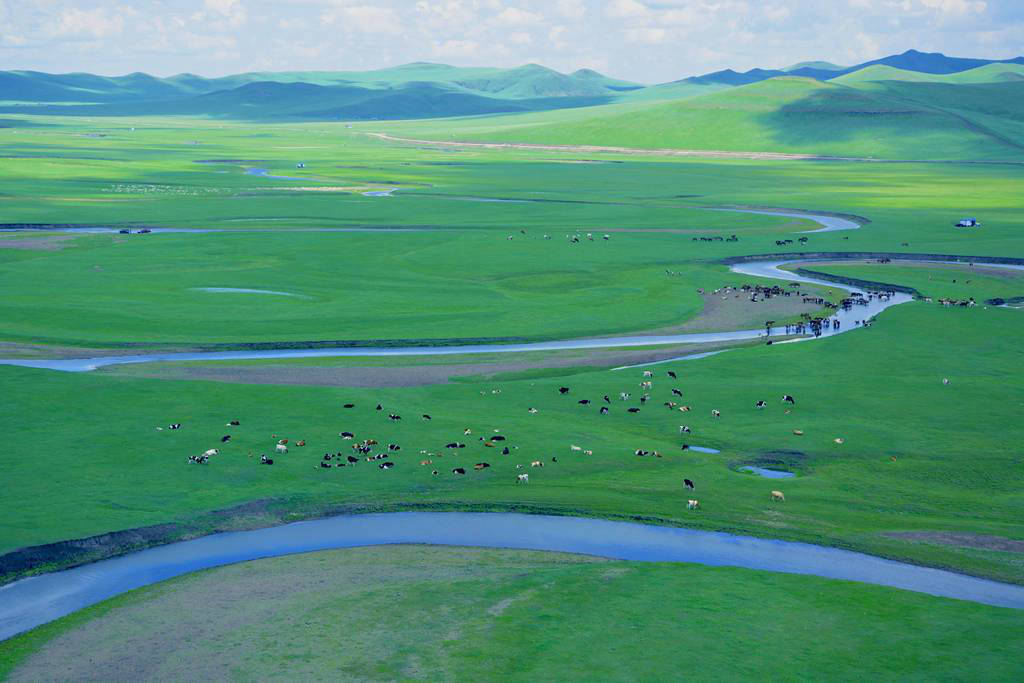 呼倫貝爾草原