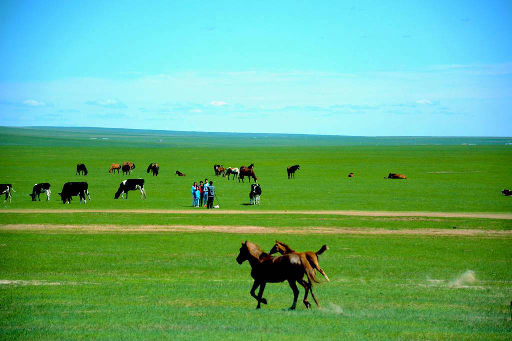 呼倫貝爾大草原