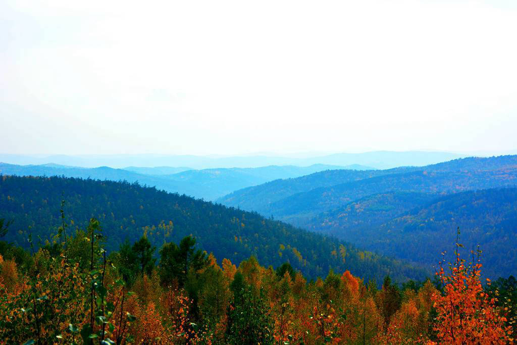 呼倫貝爾莫爾道嘎白鹿島