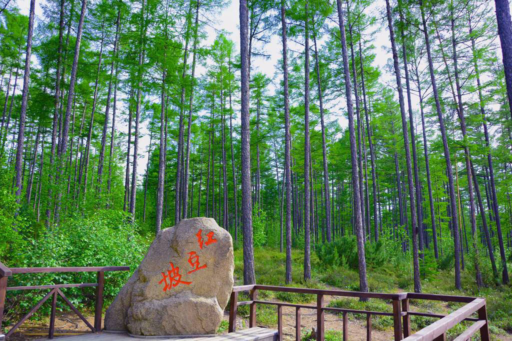 莫爾道嘎國家森林公園