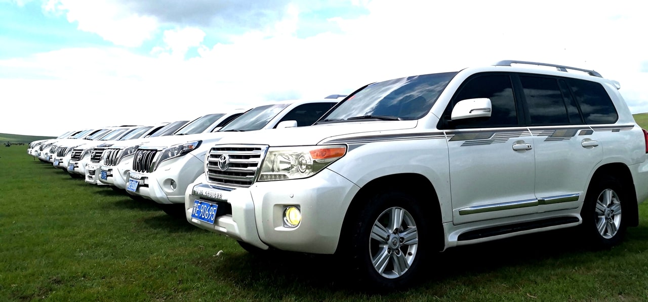 越野車到草原兜風