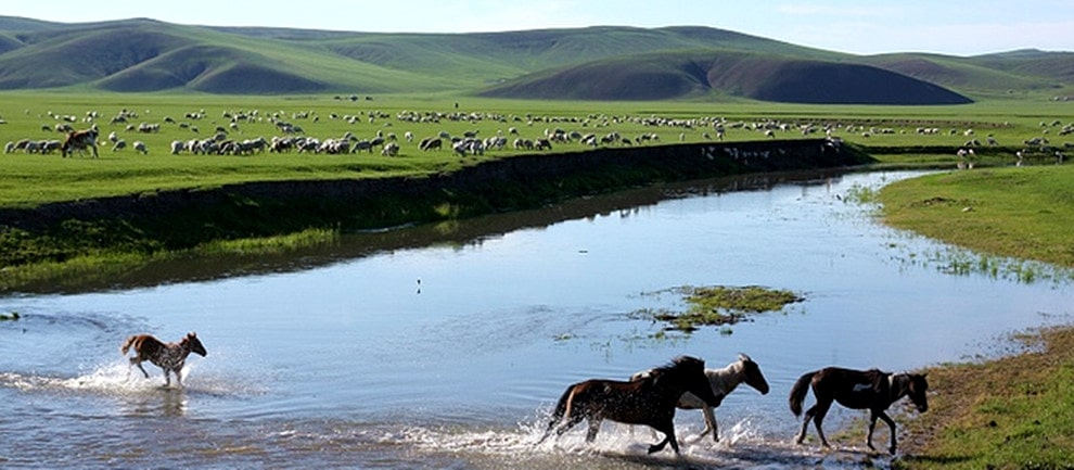 呼倫貝爾大草原景色