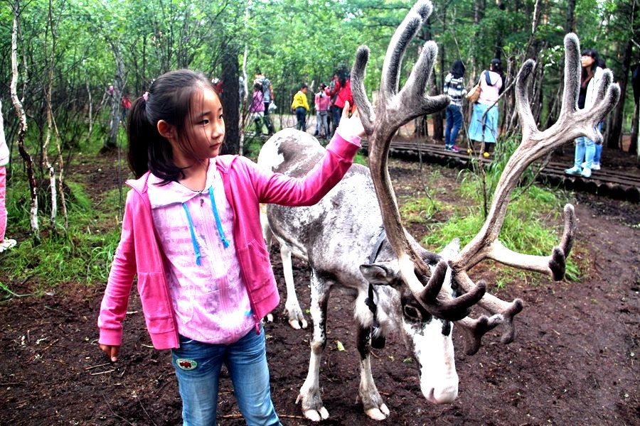 呼倫貝爾鄂溫克使鹿部落