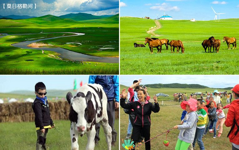 呼倫貝爾黑山頭草原