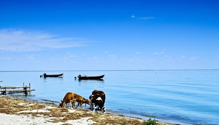 呼倫貝爾呼倫湖