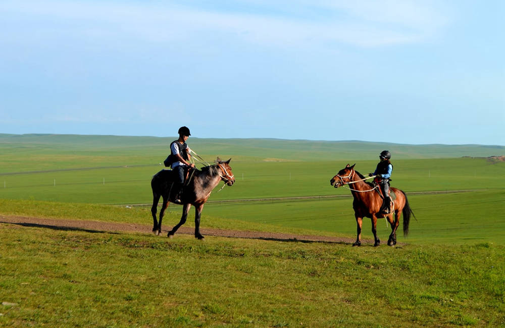 呼倫貝爾草原騎馬