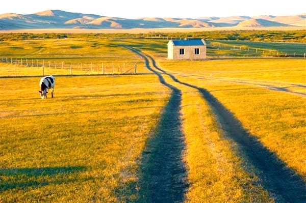 金秋呼倫貝爾大草原森林4日游