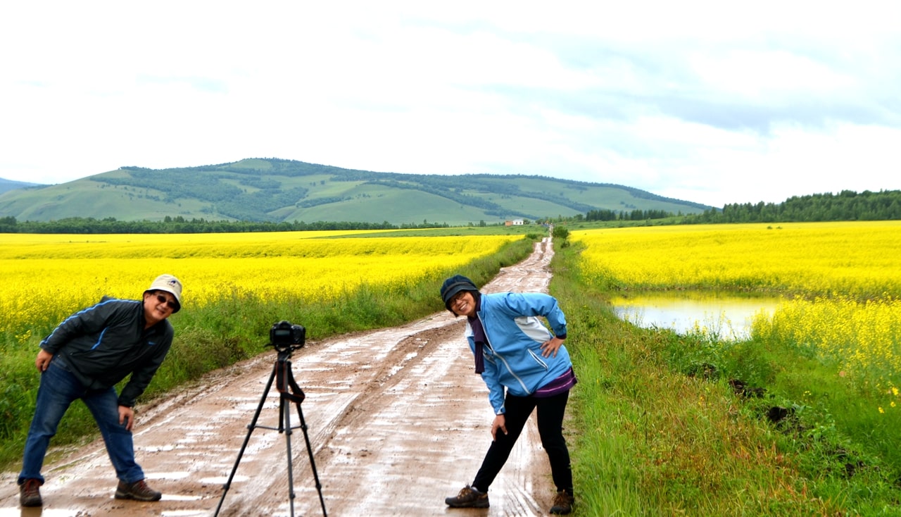 呼倫貝爾油菜田