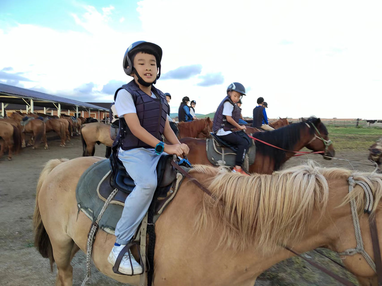 呼倫貝爾大草原小羊羔