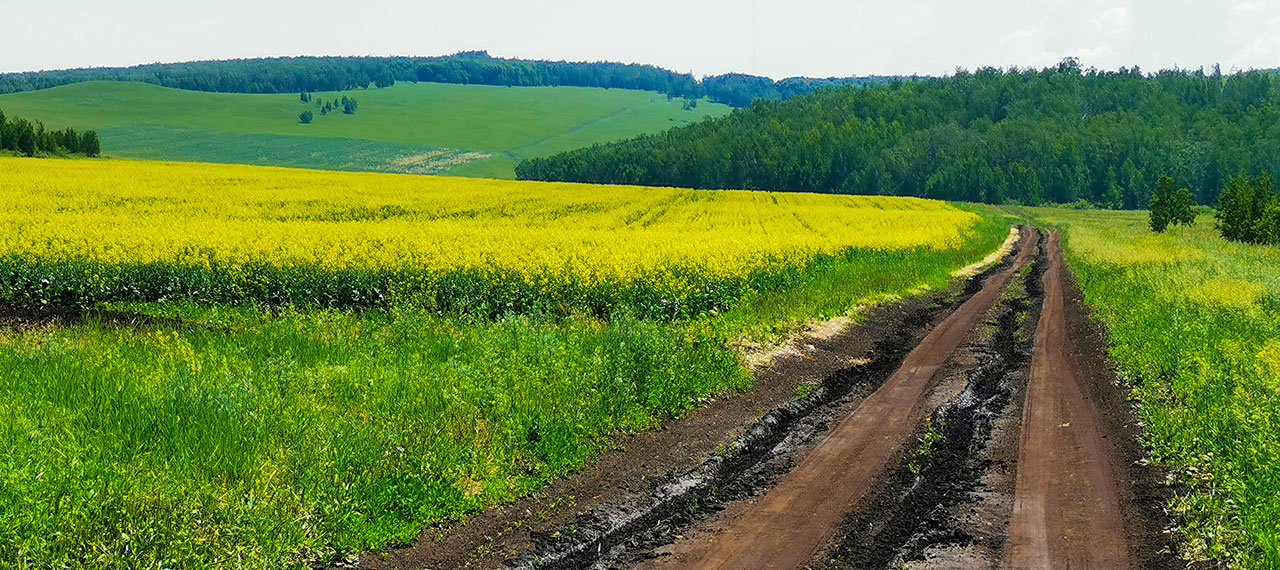 呼倫貝爾原生態(tài)風(fēng)光