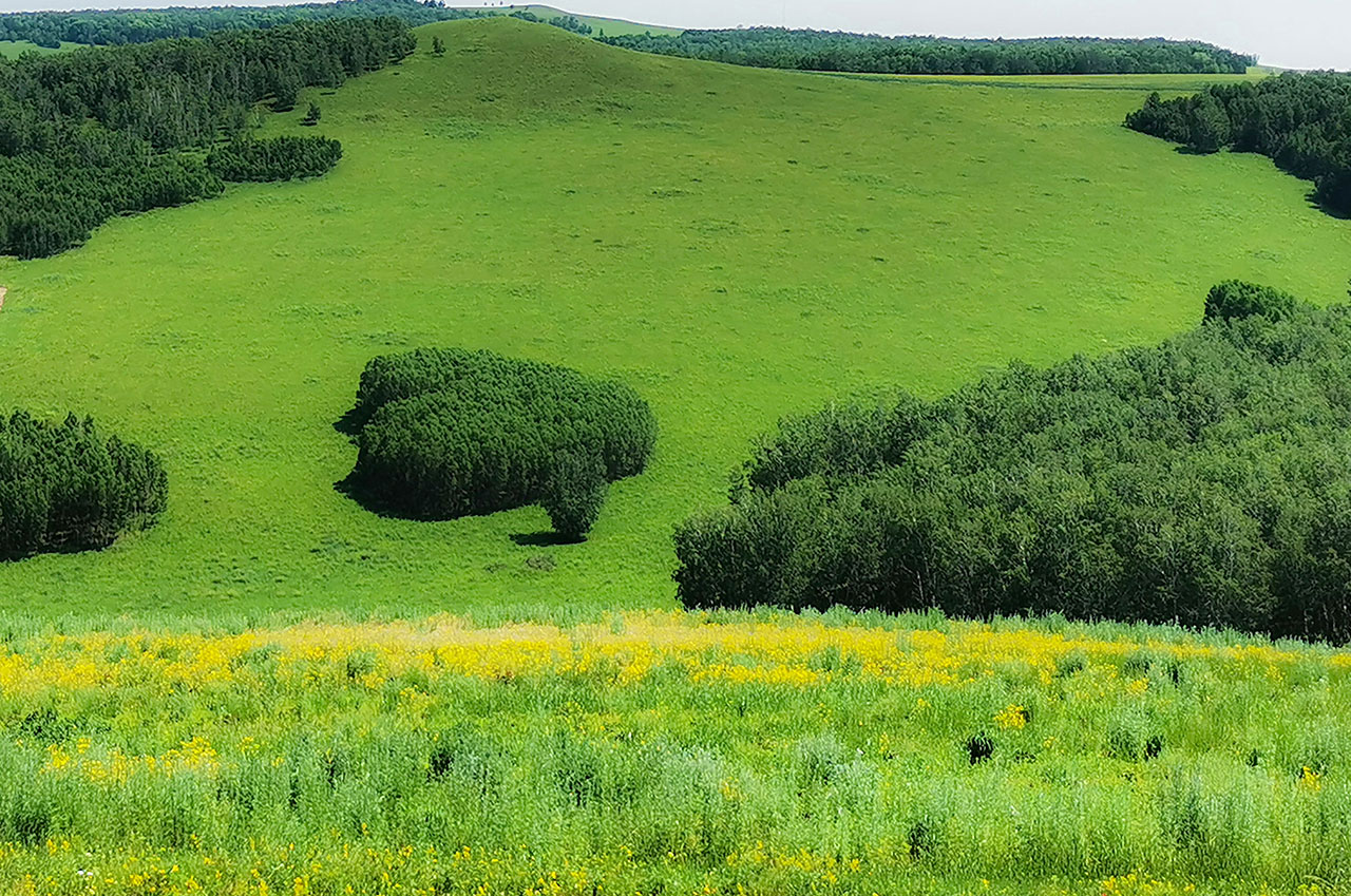 呼倫貝爾愛情谷