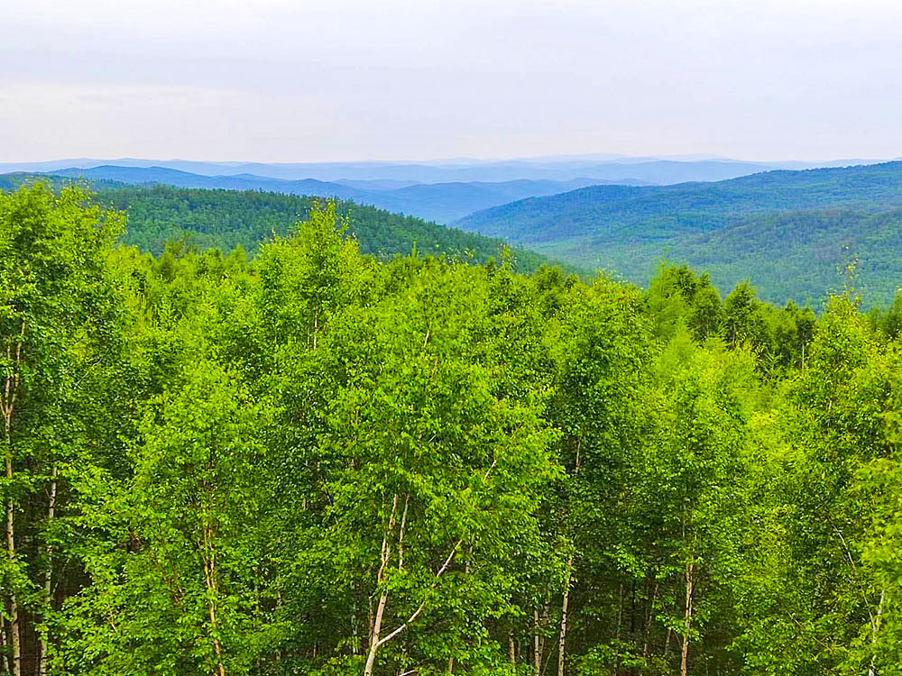 莫爾道嘎國家森林公園